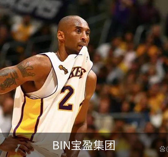 BIN宝盈集团简介